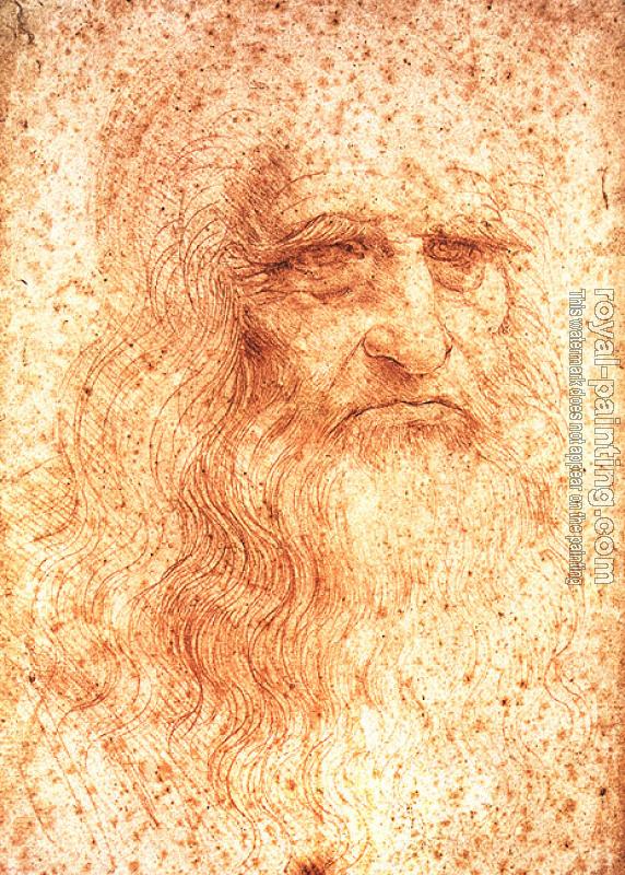 Leonardo Da Vinci : Self Portrait